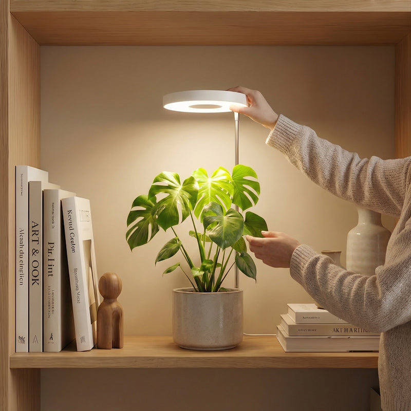 Floravella - För ett långvarligt liv till dina växter inomhus